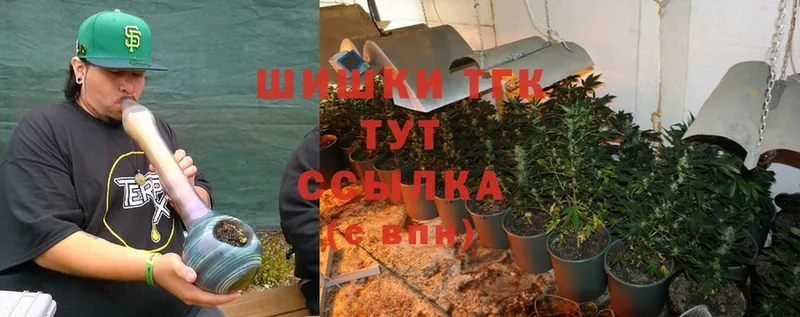 Бошки Шишки сатива  Верея 